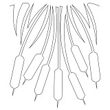 cattails border 001